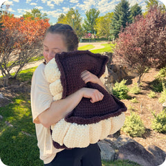 Crochet Ice Cream Sandwich Pillow Pattern Only