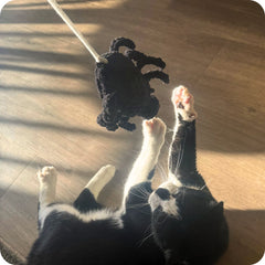 Crochet Spider Cat Toy Pattern Only