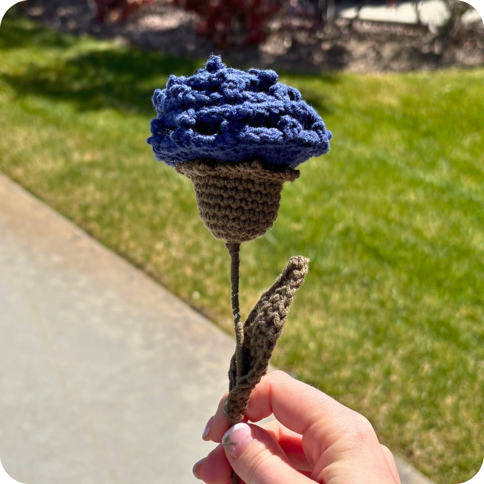 Crochet Carnation Flower Pattern