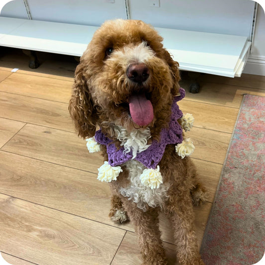 Crochet Halloween Dog Collars Pattern Only