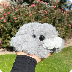 Crochet Spider Pattern Only